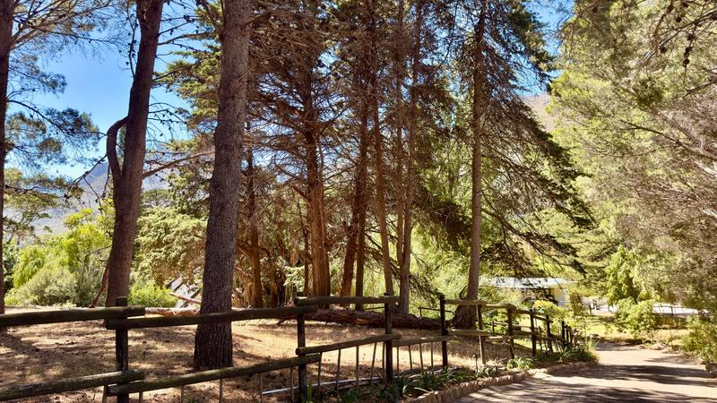 9 Bedroom Property for Sale in Hout Bay Western Cape